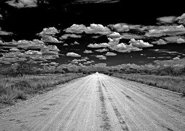 Song of the Open Road