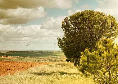 Landscape in Spain