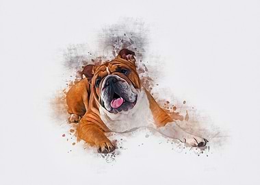 Bulldog