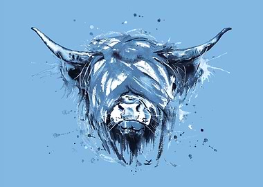 Highland Cattle Blue