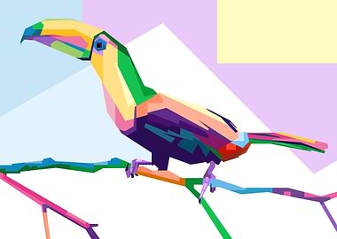 Keel billed Toucan