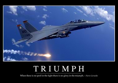 Triumph Motivational
