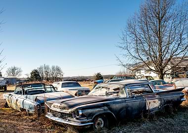 Car cemetery