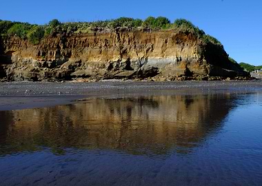 Back Beach Reflections