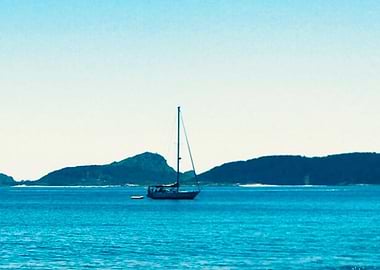 sailboat in the ocean