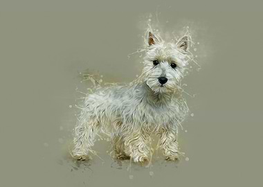 West HighlandcTerrier