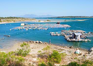 Fishing on a nice day
