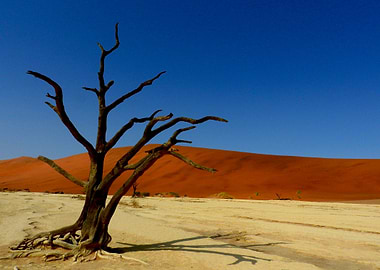 Namibia Deadvlei