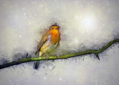 Winter Robin