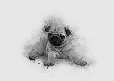 Pug Art