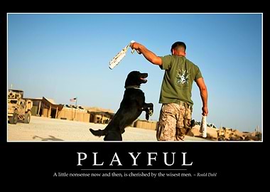 Playful Motivational