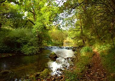 Millers Dale River Walk