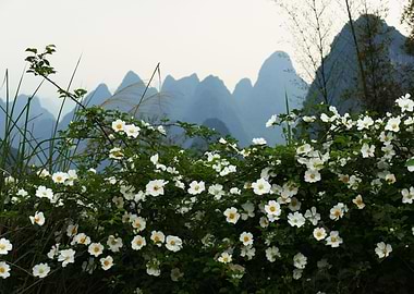 Yangshuo Karsts