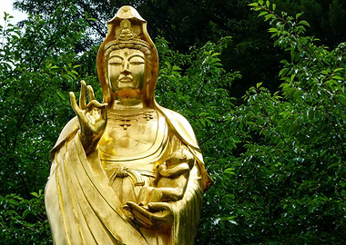 The Golden Buddha