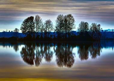 winter reflection