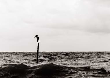 Surfing in the storm