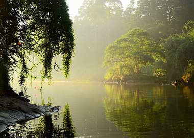 Sunlit morning river