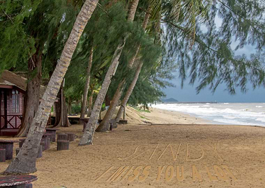 Sandy I Miss You A Lot