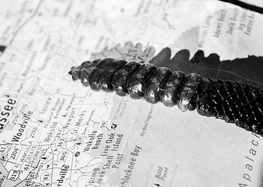 Rattle Snake Country