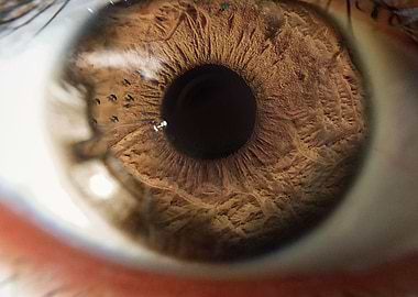 Eyes of the desert structu