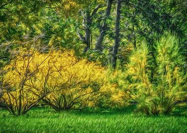 Yellow Bushes