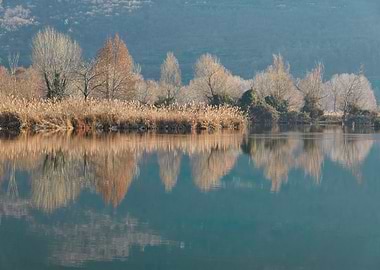 winter reflection on lanke