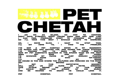 Pet Cheetah TOP