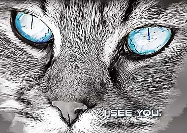 I cat see you