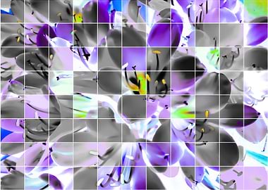 blooming purple flowers