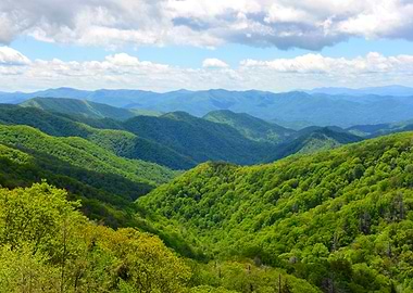 Smokey Mountain spring