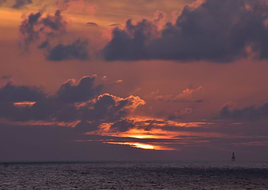 Orange is the new black