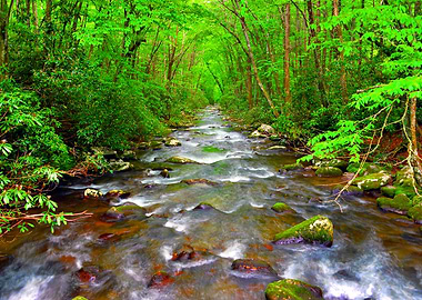 Smokey Mountain river