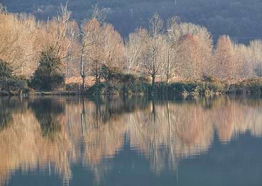 winter reflection on lake