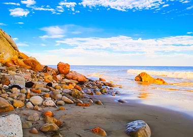summer beach in California
