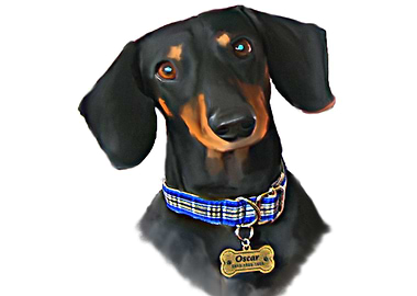 dachsund dog desain 001
