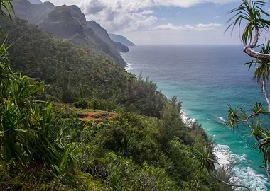 Kauai View from the top