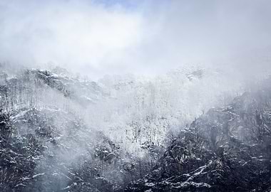 Frozen Mountain