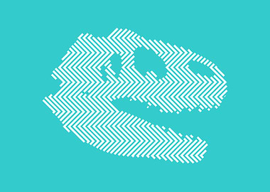 Tyrannosaurus Rex Skull