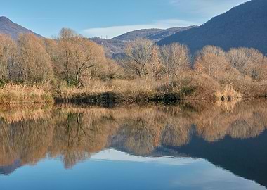 winter reflection on lake