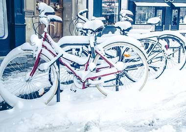 Snowey Bikes