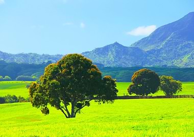 tree with green field