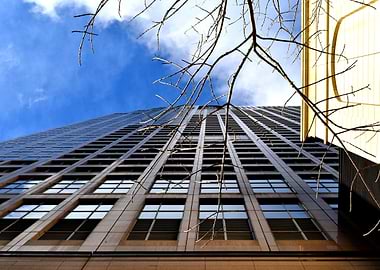 The Sky is the Limit