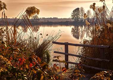 winter reflection on lake