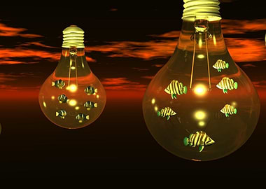 Fish in Light bulb