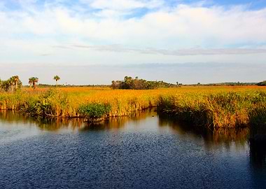 An Everglades Day