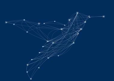 Constellation hummingbird