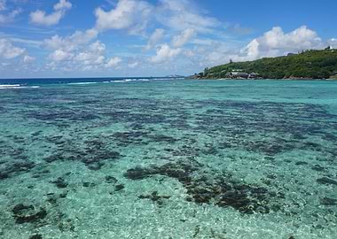 Paradise Seychelles