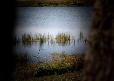 Frame with in a Frame