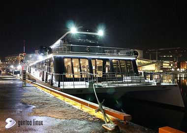 Gentoo Vision of the Fjord