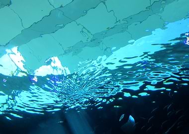 Underwater Landscape